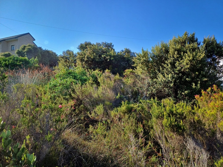 Commercial Property for Sale in Reebok Western Cape